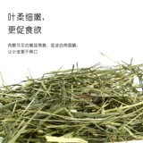 Он подходит для кроликов для корма для корма с сушкой травой, голландской свинины -соседки кролика