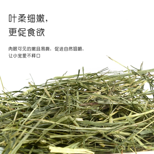 Он подходит для кроликов для корма для корма с сушкой травой, голландской свинины -соседки кролика