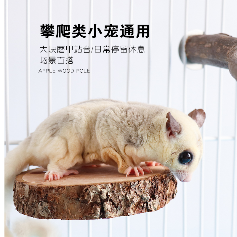 苹果木枝叉跳台树桩吊桥楼梯蜜袋鼯龙猫磨牙仓鼠玩具松鼠玩耍用品,淘宝优惠券,粉丝福利购,淘宝优惠卷