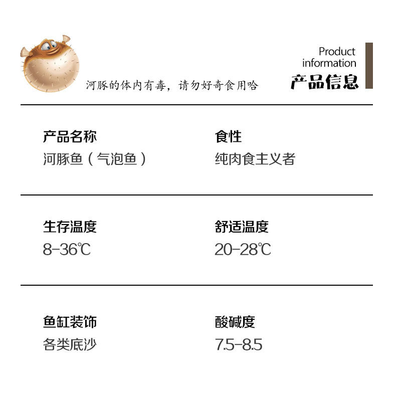 大金娃娃潜水艇绿河豚巧克力娃娃斑马狗头鱼草缸除螺热带鱼包活,淘宝优惠券,粉丝福利购,淘宝优惠卷
