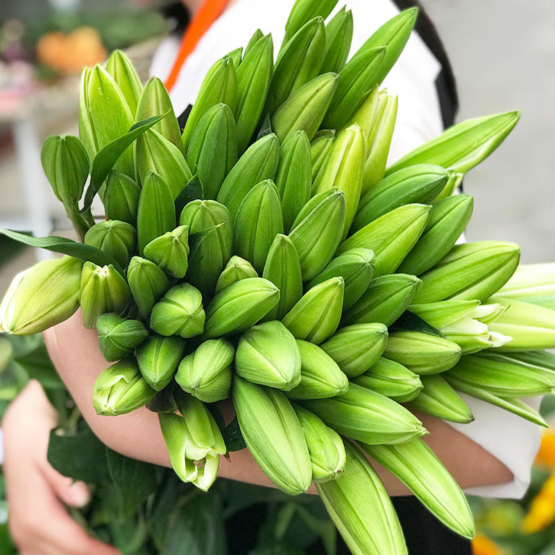 香水百合花鲜花云南直发昆明基地直批鲜切花家用水养插花速递同城 - 图3