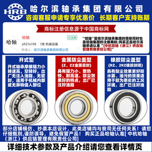HRB 哈尔滨轴承 6005 6006 6007 6008 6009 - 2 Z RZ 深沟球 小 Z