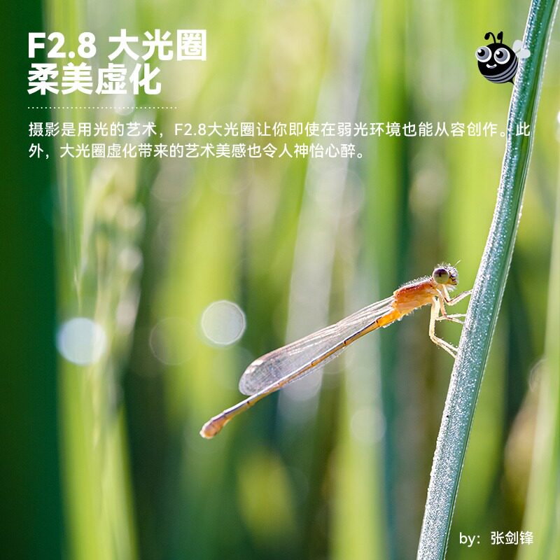 铭匠光学40mm索尼富士xt5尼康镜头 耐影单反镜头