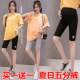 Maternity leggings, summer thin shorts, mid to late pregnancy