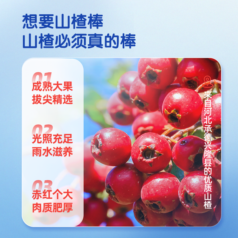 【小鹿蓝蓝_量贩装山楂棒棒糖】原味30支