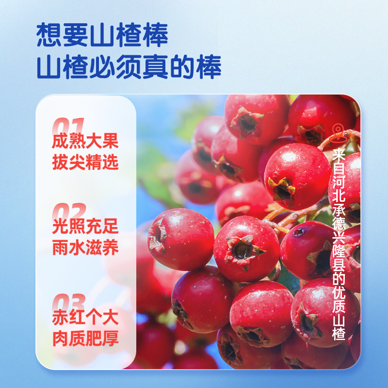 【小鹿蓝蓝量贩山楂棒棒糖】水果条水果棒零食儿童 - 图3