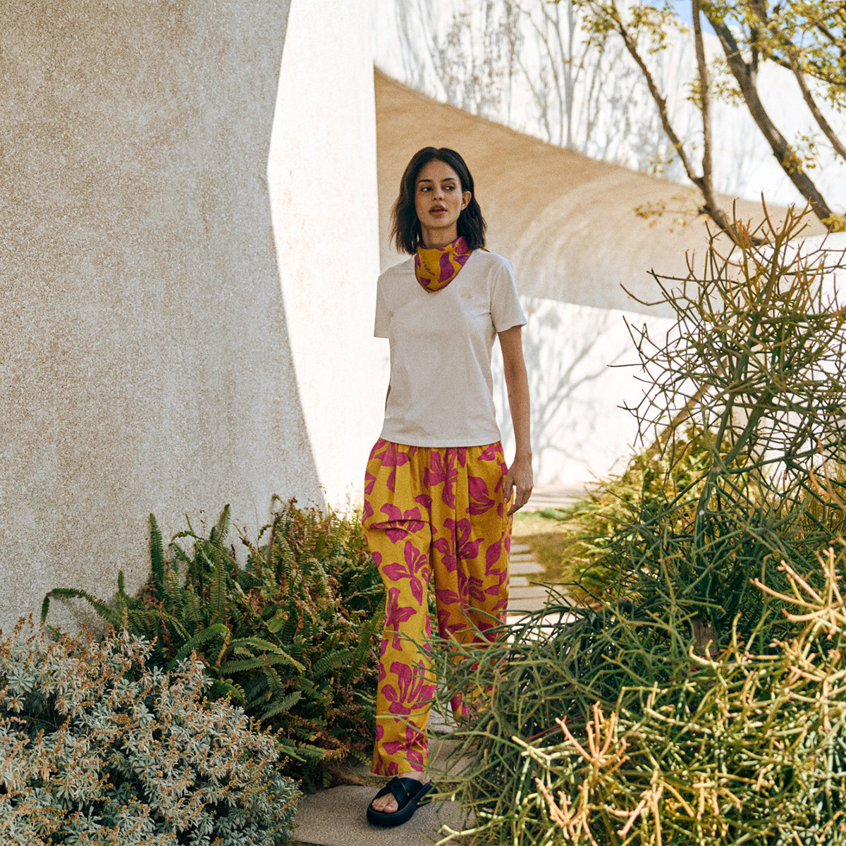 双成记洋紫荆花瓣斜纹小方巾真丝围巾女桑蚕丝春夏丝巾发带礼盒装,淘宝优惠券,粉丝福利购,淘宝优惠卷