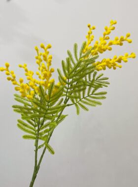 厂家自然系野趣仿真金合