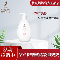 Kangaroo Mom Pregnant Woman Underwear Briefs Special Laundry Detergent Gently Clean to Bloodstains Hand Wash Lotion 400g