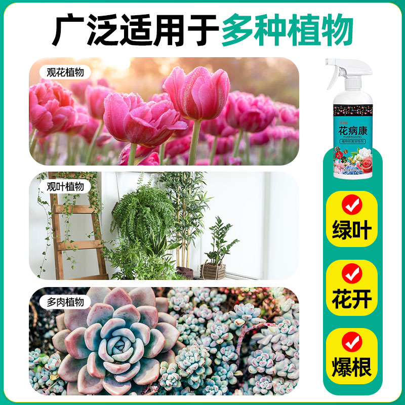 花病康喷剂植物通用型免稀释营养液家庭园艺花卉绿植抗病菌活性剂 - 图3