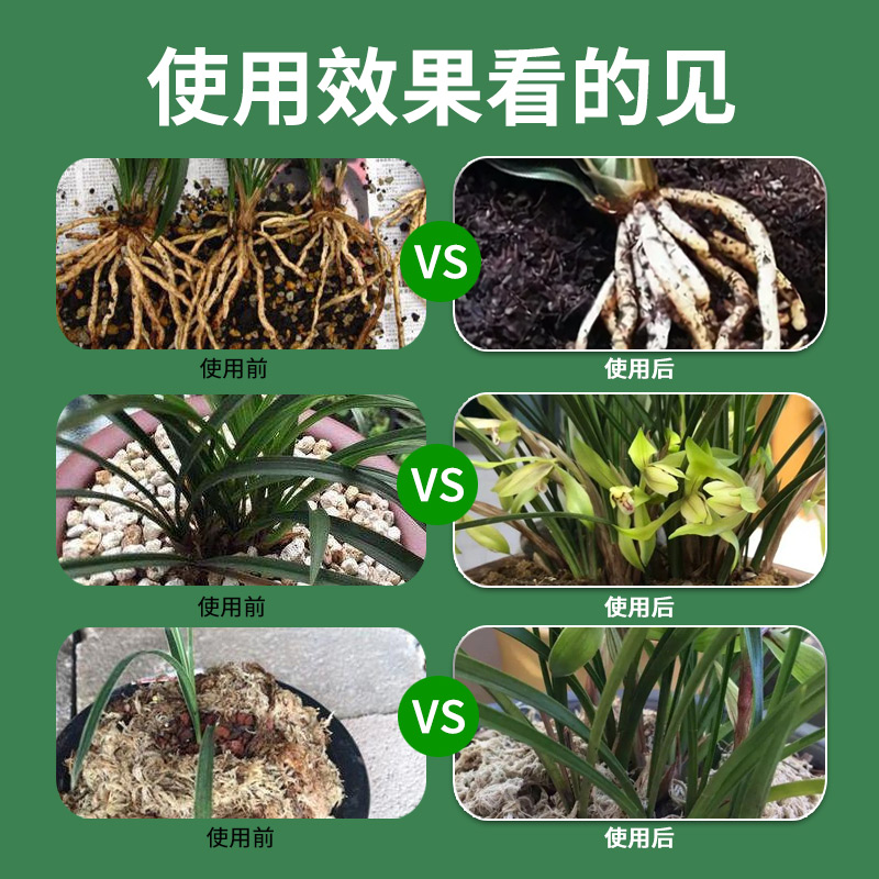 植物活力素花卉绿植通用型浓缩营养液多肉盆栽促生根液体水溶花肥 - 图2