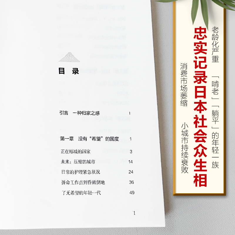 日本今世相 老无所养，三十不立，核灾难，安倍经济学…从如日中天到体面衰落，安倍遇刺之谜或许就藏在这里 - 图2