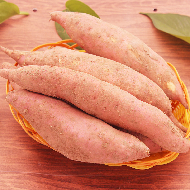 开封5斤批发农家现挖沙地新鲜红薯 汴南仓生鲜店番薯