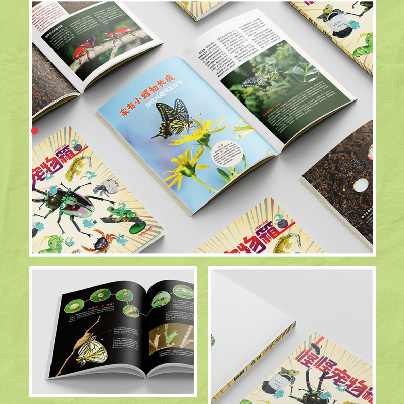 中国国家地理博物杂志2025年远古动物园增刊 怪怪宠物箱异宠增刊,淘宝优惠券,粉丝福利购,淘宝优惠卷