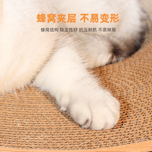 Кошка захватывает кошачье гнездо встроенное двойное износ -устойчивый