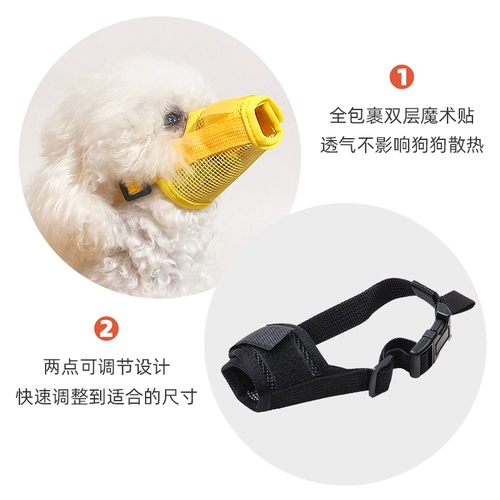 Корпус собаки анти -салона и анти -ругая маска золота