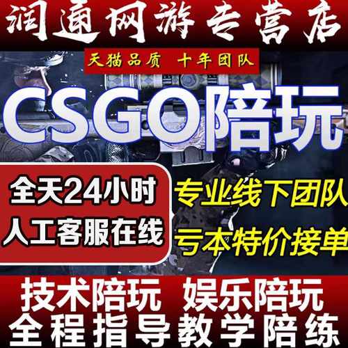 【技术过硬】csgo陪玩陪打陪练cs2教学5e完美b5官匹上分娱乐技术 - 图0