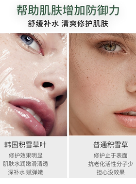 韩瑟积雪草胶原免洗睡眠面膜