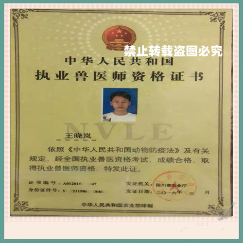宠物医生问诊猫咪生病咨询兽医24小时线上宠物医院狗狗看病问诊疗 - 图0