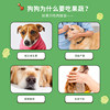 Meatyway Dog Treats Goat Milk Fruit and Vegetable Biscuits Pet Food Training Reward Dog Treats
