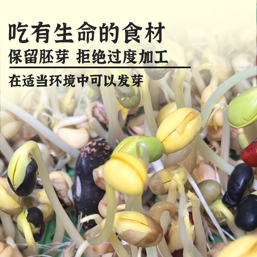 杂豆豆类豆子五谷杂粮粗粮杂粮米各种豆类素食植物蛋白混合 - 图2