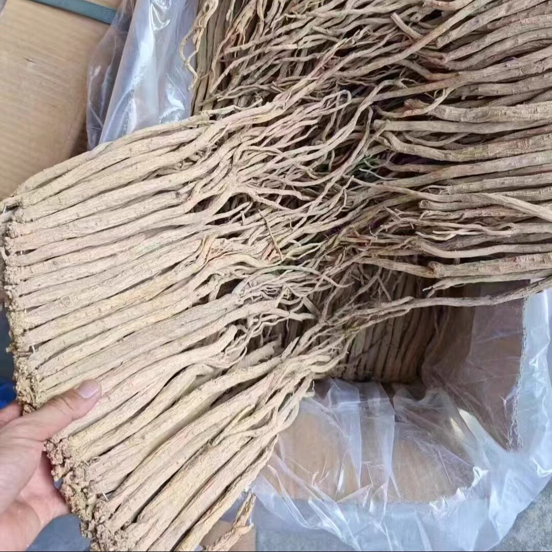 甘肃党参无硫土纹党参段黄芪当归玉竹自晒天然广东煲汤料干货250g