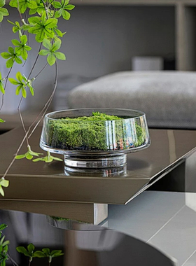 简约现代样板间永生苔藓客厅玄关茶几桌面永生绿植摆件床头柜花艺