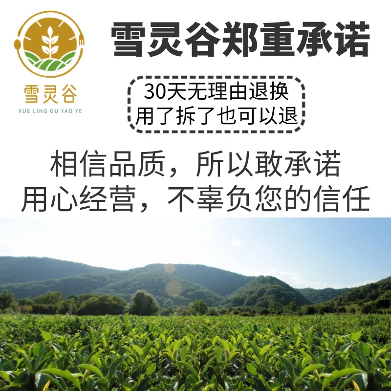 【纯粉无添加】寄生中药粉现磨50克桑寄生片槲寄生桑上寄生槲木中 - 图3