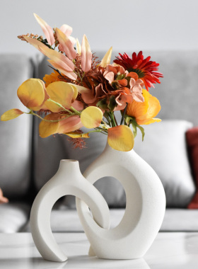 北欧白色小众花瓶绿植艺术装饰品