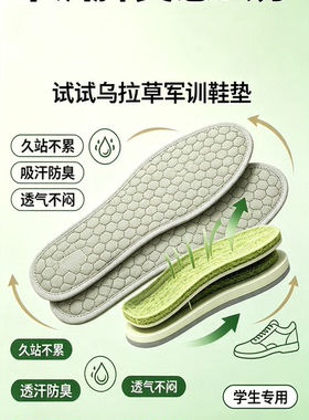 东北三宝乌拉草军训加厚鞋垫抑菌吸汗透气防臭舒适非遗专利新款