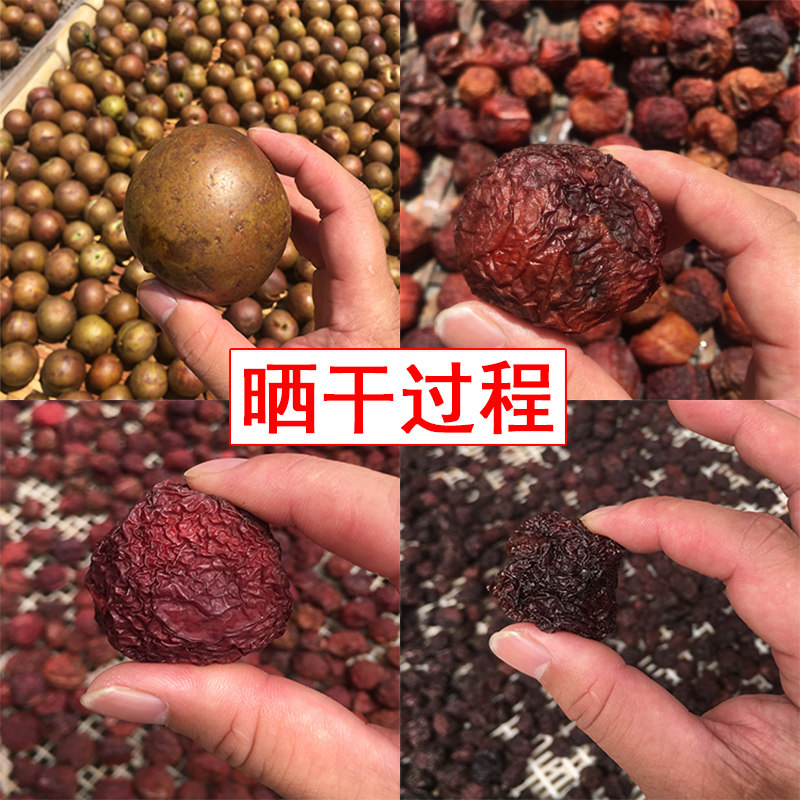 500g福建正宗原味农家芙蓉李干李子 风映食品加应子/李子