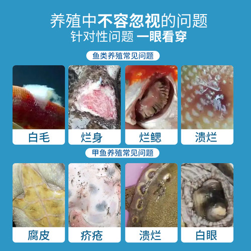 硫醚沙星水霉净霉停水霉水产养殖水霉白毛烂腮水美净 - 图1