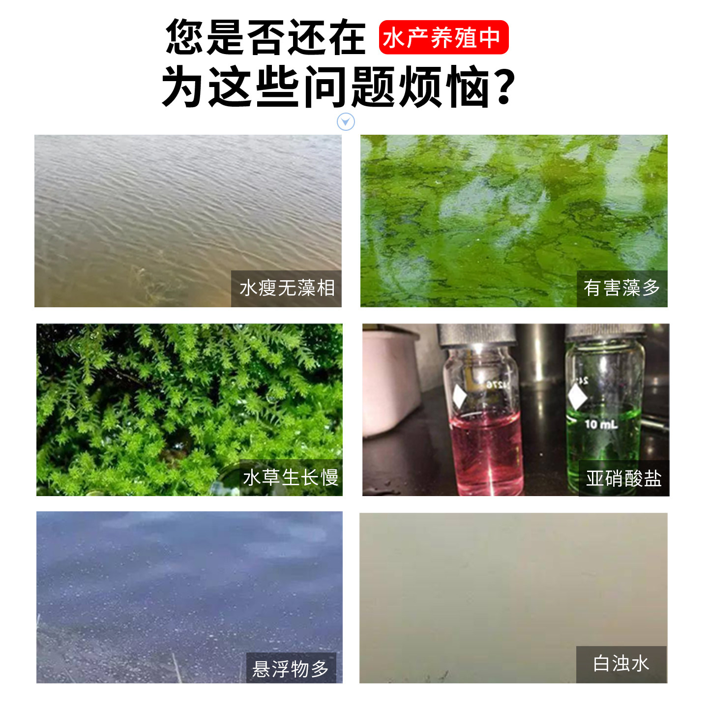鱼耀肥水668升级水产养殖专用花白鲢大头鱼低温肥水宝培菌藻育苗,淘宝优惠券,粉丝福利购,淘宝优惠卷