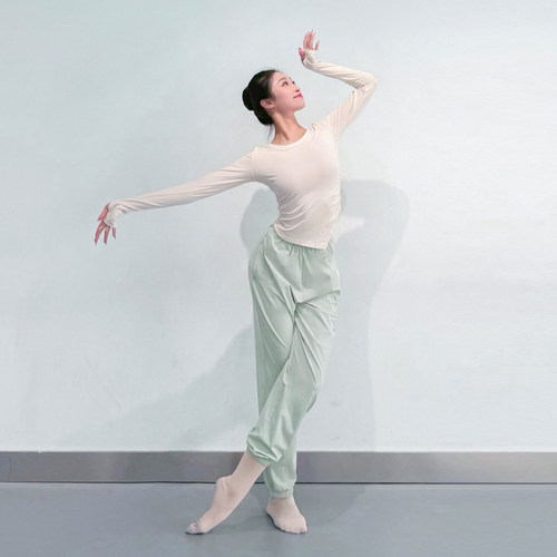 舞蹈练功服上衣女中国古典舞现代舞服装春夏新款短长袖形体舞蹈服 - 图1