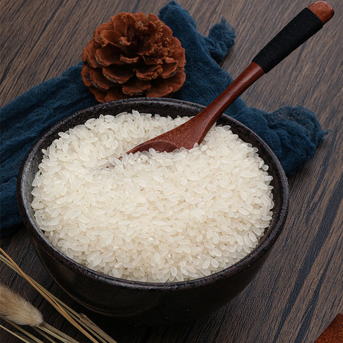 园侬鲜东北稻花香大米稻田一级粳米10斤吉林大米当季新米5kg - 图1