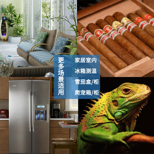 汽车内温度计高精度测量冰箱冷藏爬宠温湿度计车载迷你小型温度表 - 图2