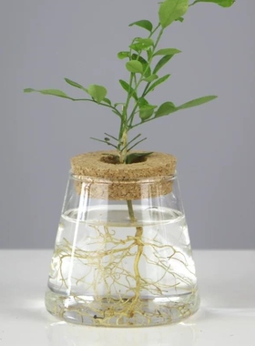 火山杯玻璃生态瓶打孔木塞竹托创意水培植物水养容器带灯富士山杯