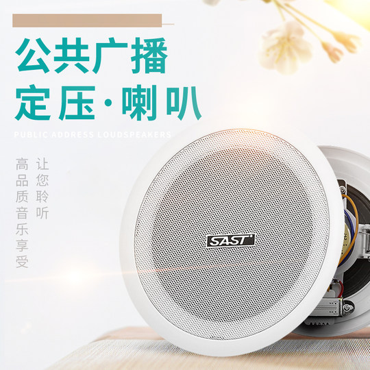 Hanging ball waterproof ceiling speaker embedded in ceiling speaker