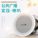 Hanging ball waterproof ceiling speaker embedded in ceiling speaker