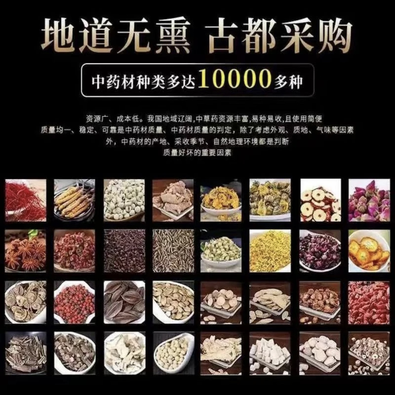 生黄芪30克苍术15克葛根15生地30玄参30丹参30组合中药材施今墨方 - 图2