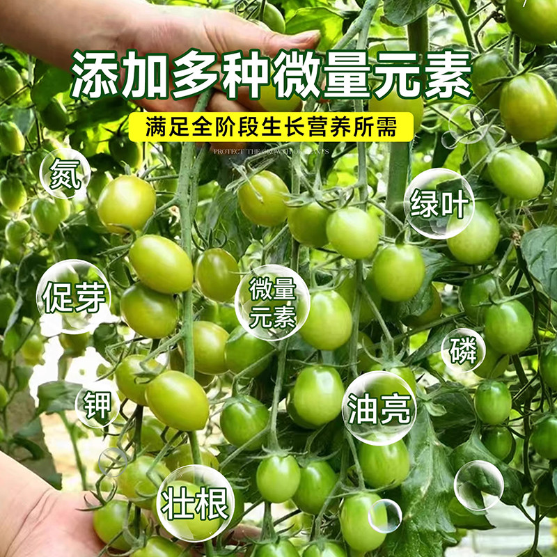 番茄专用肥料催果结果圣女果有机肥种盆栽西红柿蔬菜肥小番茄肥料,淘宝优惠券,粉丝福利购,淘宝优惠卷