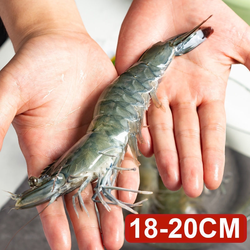 The extra-large Qingdao prawns are fresh and have many repeat customers.