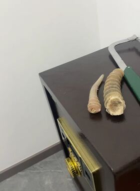 天然羊角整根羊角碎料段料珍藏可可西里西藏去丝粉中药材羚羊角