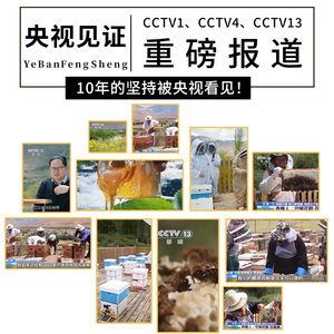 西藏蜂蜜纯正天然野生土蜂蜜百花蜜正品官方旗舰店礼盒装500g*2瓶
