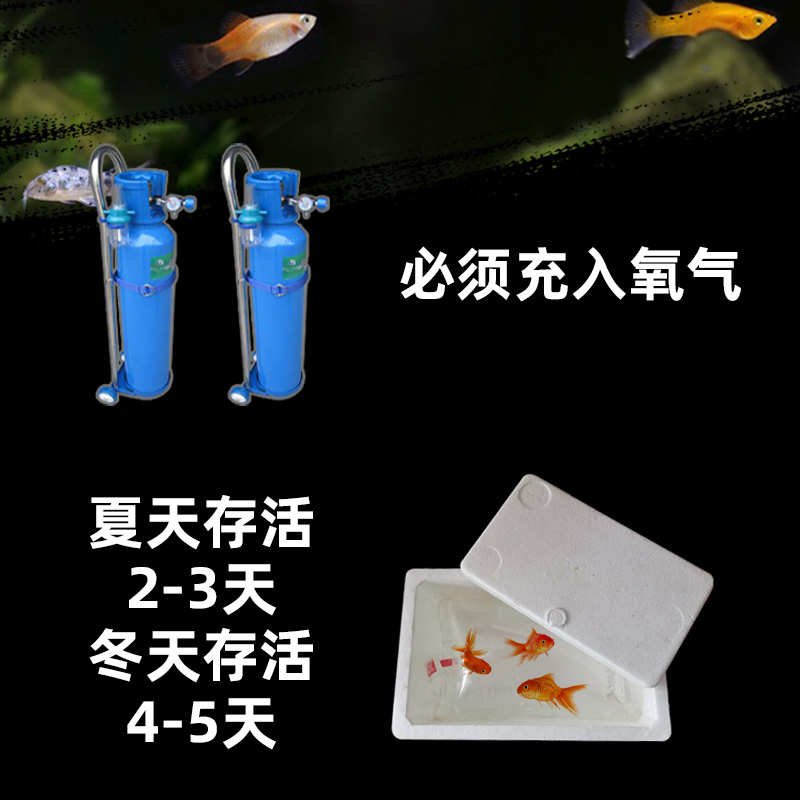 [双十一狂欢]加厚氧气袋装鱼水族观赏鱼打包袋包装袋-图2