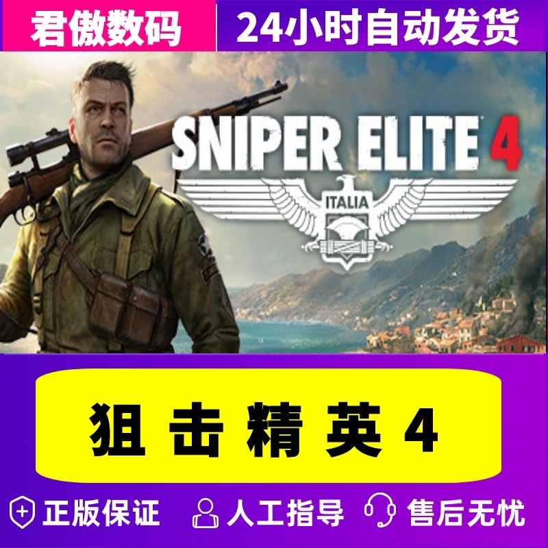 Steam PC正版游戏狙击精英4 Sniper Elite 4全球版 PC激活码 CDKey兑换码-图2