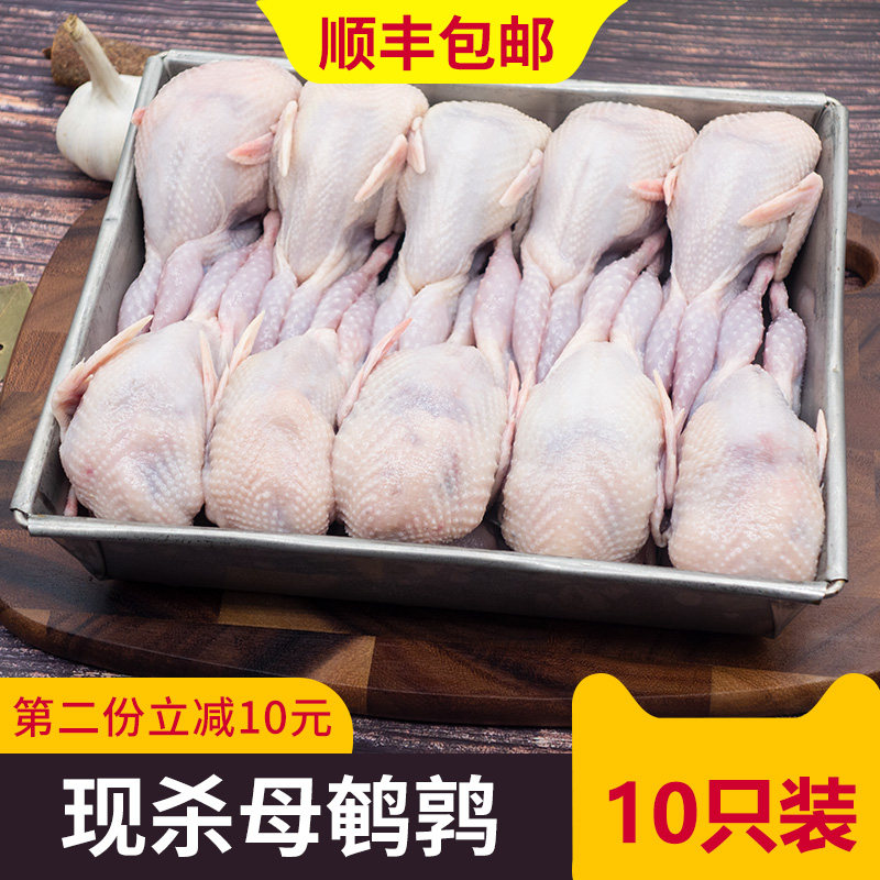 韵璐珍 新鲜现杀母鹌鹑 10只约1200g 天猫优惠券折后￥27.8包邮（￥30.8-3）