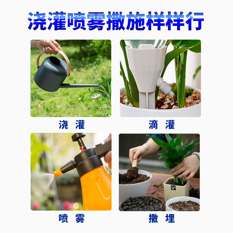 孔雀木手树盆栽专用营养肥盆景庭院小乔木灌木养根四季通用花肥料 - 图2