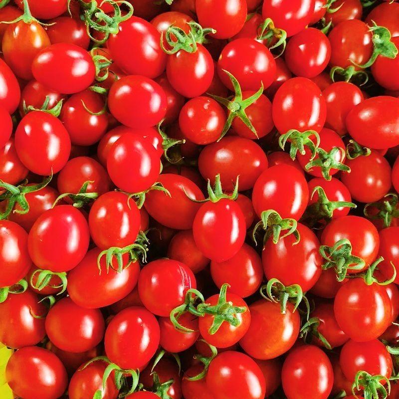 新鲜广西圣女果千禧小番茄樱桃现摘现发小西红柿孕妇水果5斤包邮,淘宝优惠券,粉丝福利购,淘宝优惠卷