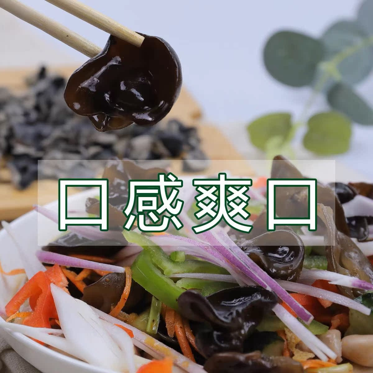 東北特產野生黑木耳干貨500g包郵非小碗耳特級秋木耳肉厚無根新貨_諾彤旗艦店_糧油調味_速食_干貨_烘焙
